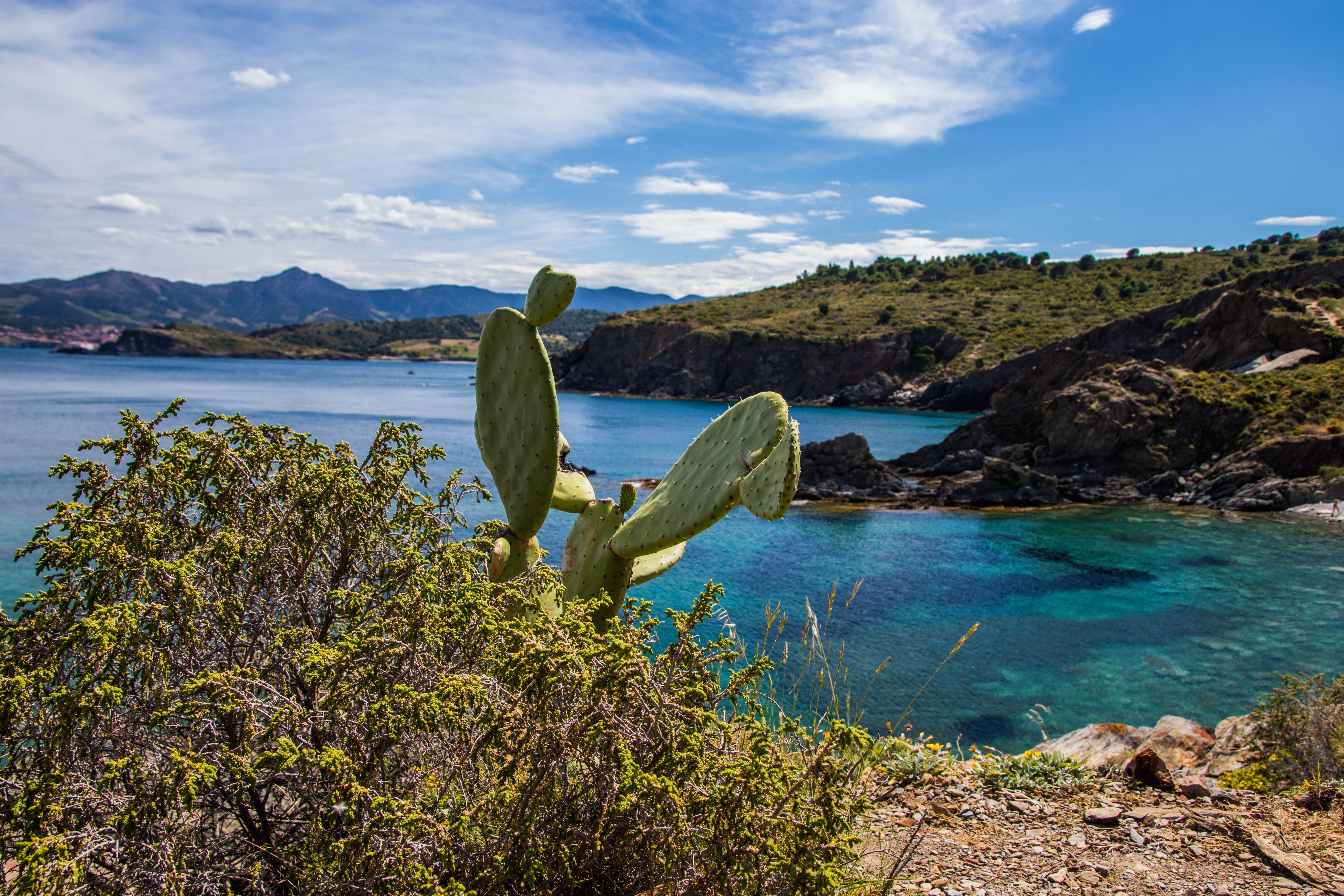 Wanderungen und Läufe